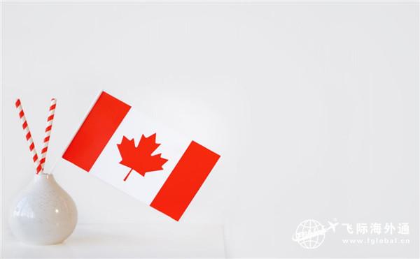 2022年加拿大容易移民吗？2022年计划移民411,000！