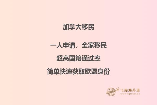 最受欢迎的加拿大留学专业,这些专业更好!