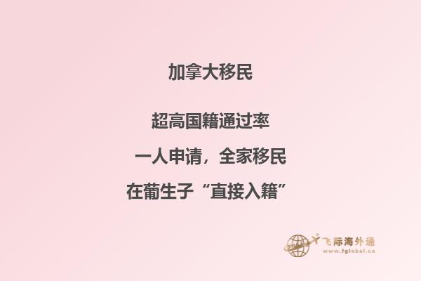 加拿大魁北克技术移民费用与申请流程，申请人你懂吗？