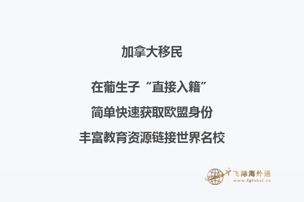 加拿大魁省有哪些城市