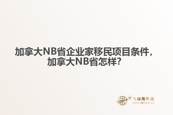 加拿大NB省企业家移民项目条件