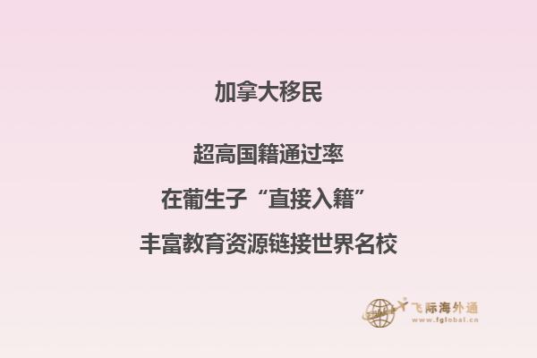 加拿大留学奖学金如何申请，有哪些可以申请的奖学金？