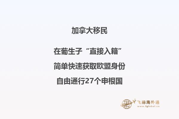 加拿大联邦技术移民申请条件,加拿大移民好吗?