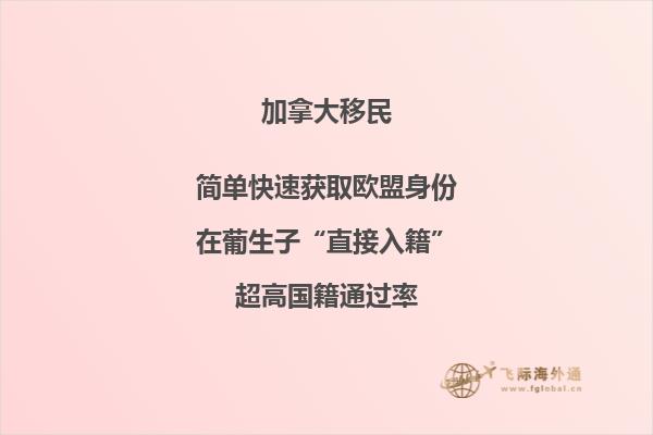 加拿大有哪些投资移民项目