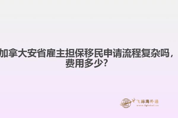 加拿大安省雇主担保移民申请流程复杂吗，费用多少？