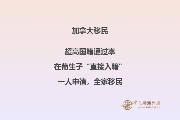 加拿大安省雇主担保移民申请流程复杂吗，费用多少？