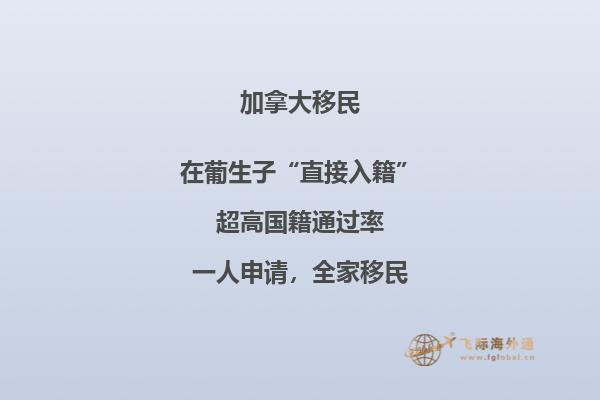 加拿大安省投资移民的条件,流程是什么?
