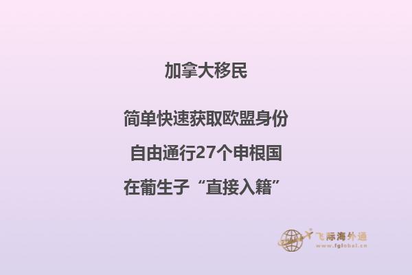 加拿大魁省投资移民通过率如何,申请周期长吗?