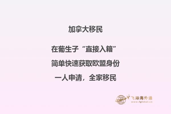 加拿大安省移民政策调整，哪些移民方式中招了？