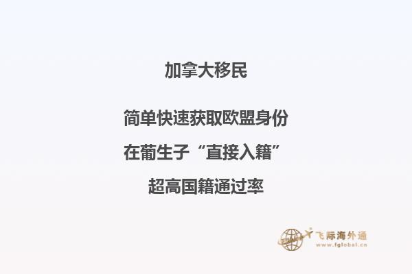 加拿大移民项目如何找工作