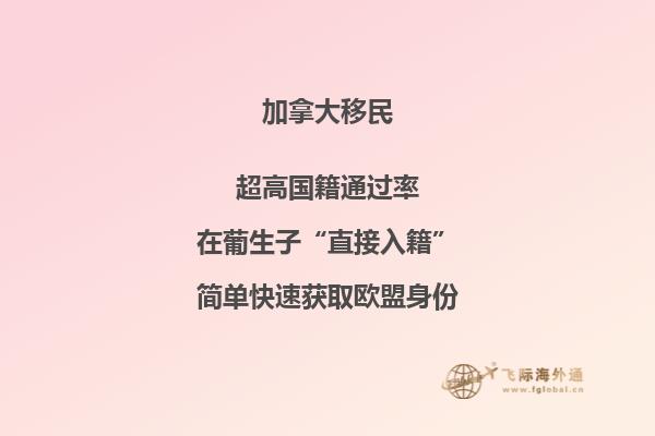 加拿大枫叶卡用途