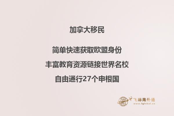 加拿大NB省投资移民流程