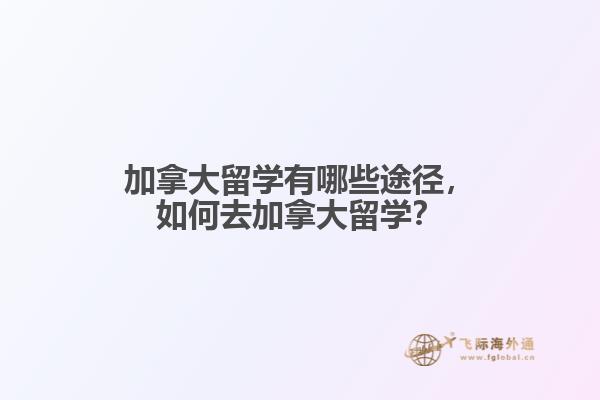 加拿大留学有哪些途径