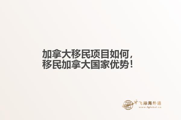 加拿大移民项目如何