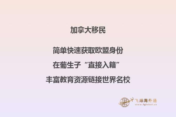 加拿大投资移民最新政策变化，申请人需要注意！