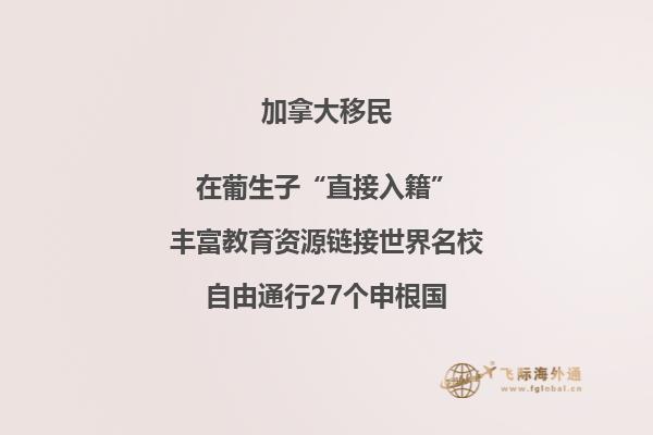 加拿大大学排名情况