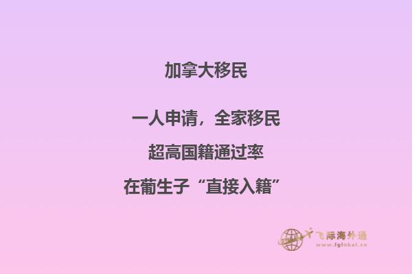 加拿大留学移民专业选什么，优先选择以下专业！