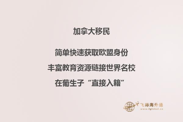 加拿大NB省冷吗， NB省投资移民好吗？