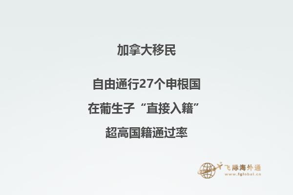 2020加拿大移民新政策，利好重新来袭！