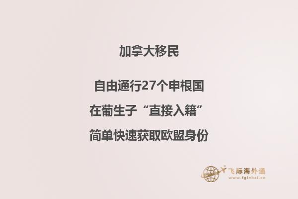 加拿大魁北克投资移民金额,成功率高不高?