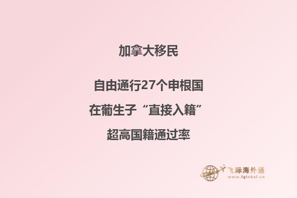 2020年加拿大有哪些移民类型