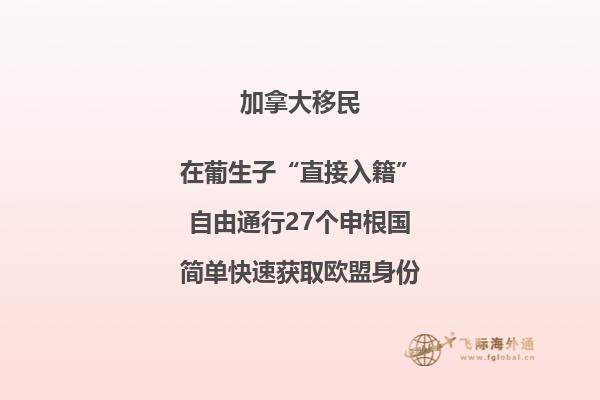 技术移民加拿大容易吗，加拿大技术移民条件如何？