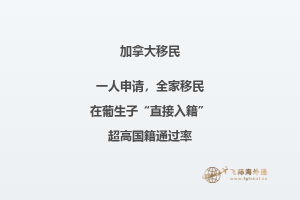 加拿大魁省投资移民方式有哪些，三种方式任你选择！