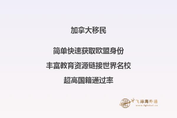 加拿大投资移民风险汇总，要避开哪些陷阱？ 