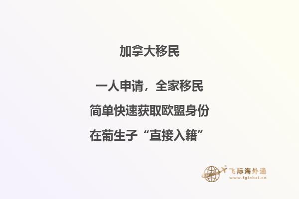 2020年加拿大最受欢迎的四种投资移民方式！