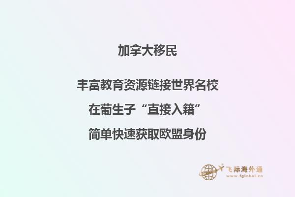 加拿大NB省企业家移民申请条件如何,你能申请吗?