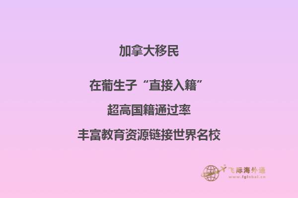 加拿大湖边