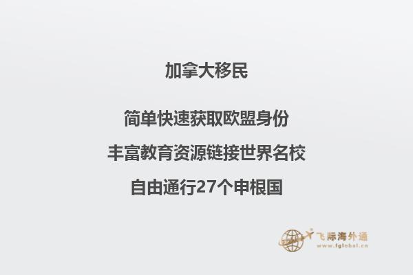 眼镜书