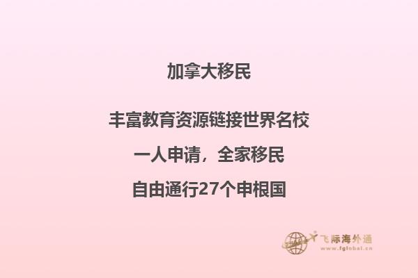 书架