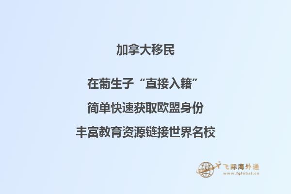 一只手拿着一个玻璃球看城市建筑