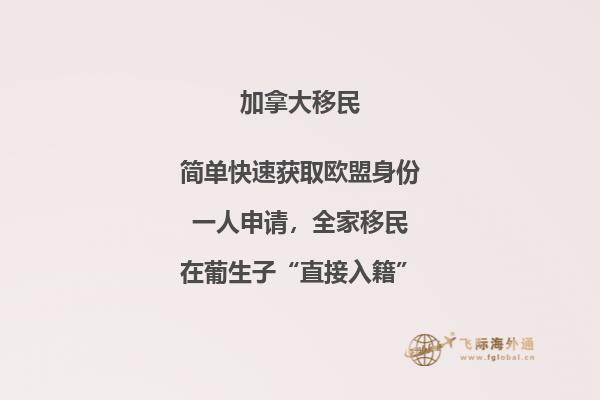 树林中的公路