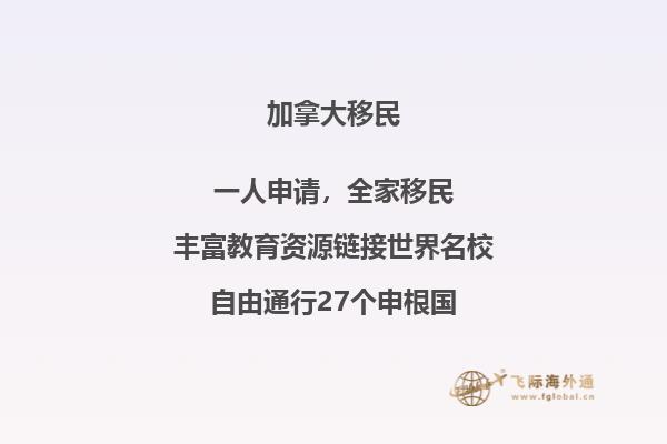 湖面和树林