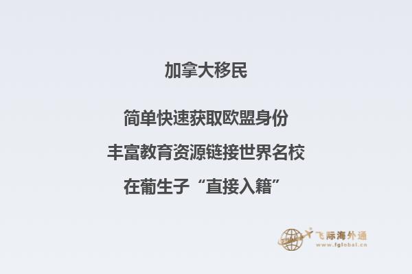 公路和两边的树木