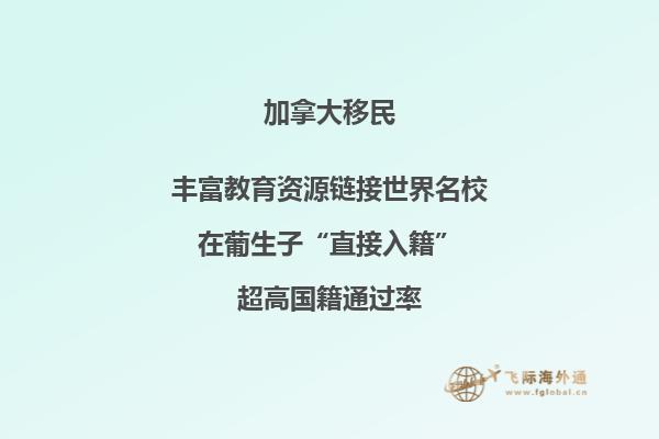 半山腰的房子