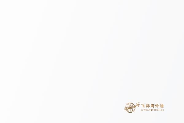 雪山旁的废石楼