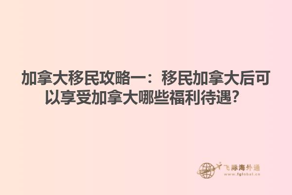 城堡前的草坪