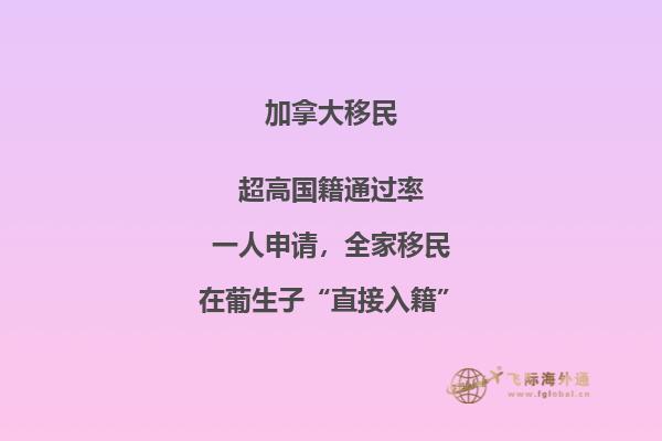 河边的石头