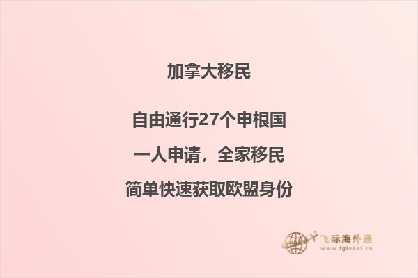 窑洞里的炮车和木桶