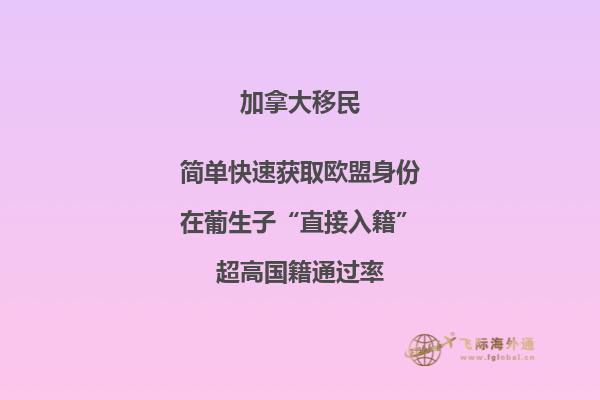 灯火通明的建筑