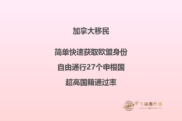 马路两边的草坪和远处的城堡