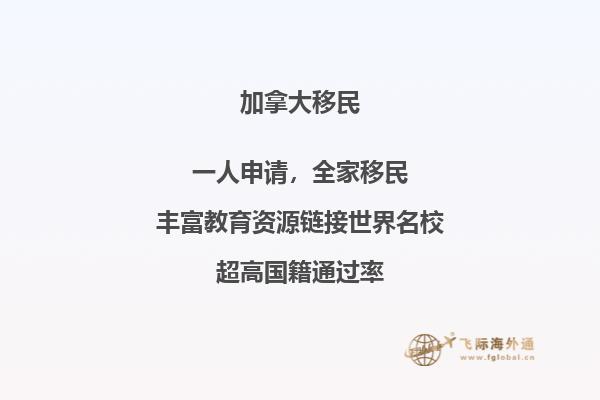 建筑城堡被树林环绕