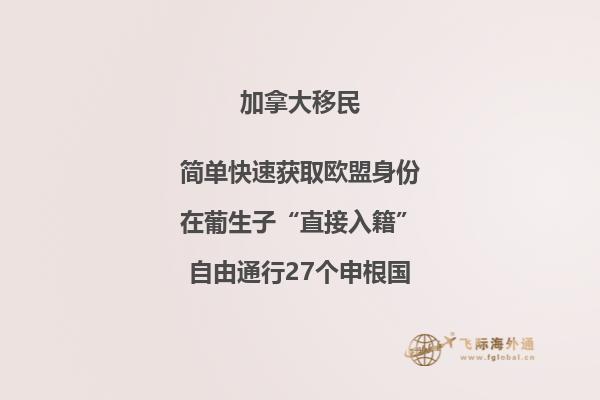 植物墙上一个爱心的形状