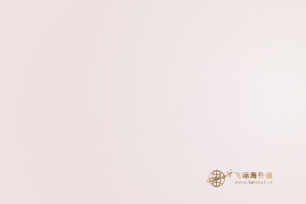 海滩边沙滩上的树