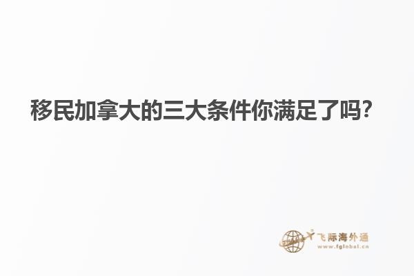 沙滩上的休闲椅
