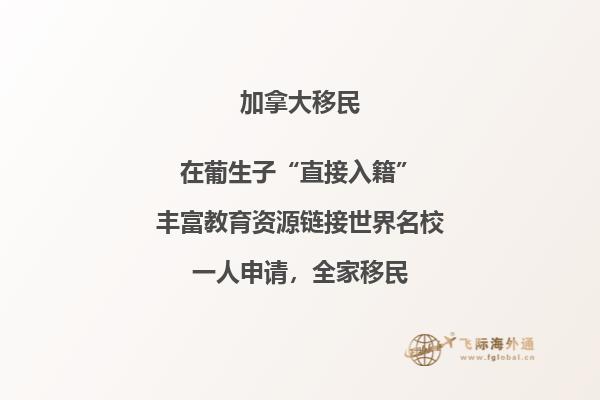 晚上灯火通明的城堡建筑