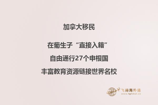 树叶高楼